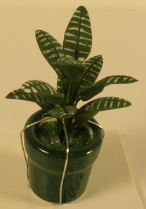A098